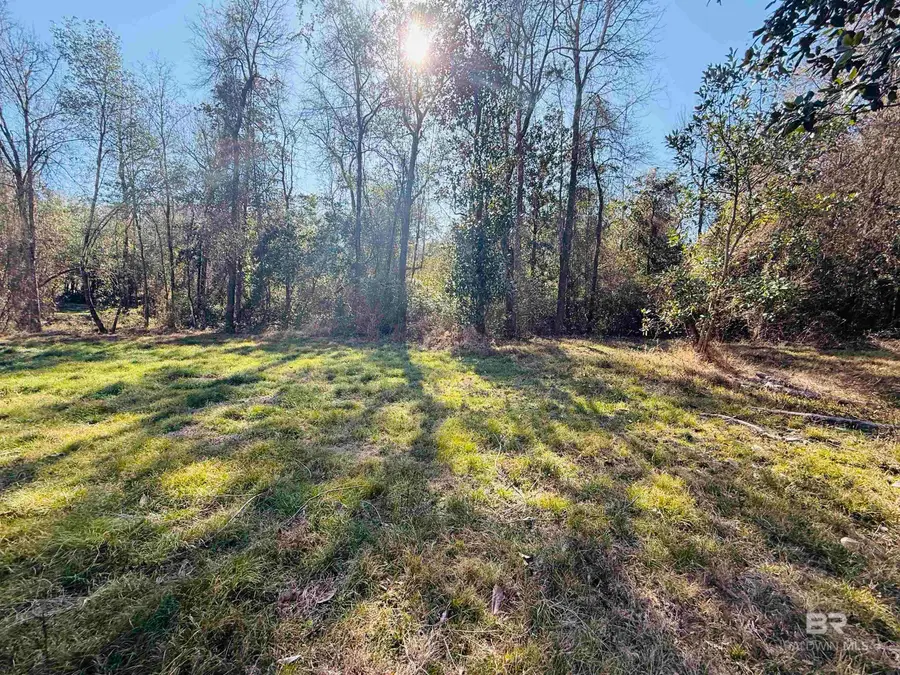 01 Cowpen Creek Road, Atmore, AL 36502 - #3