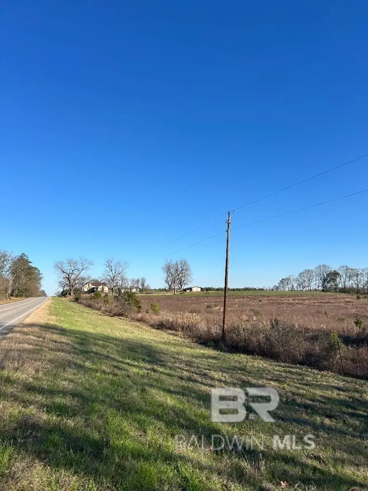0 W Hwy 84, Evergreen, AL 36401 - #2