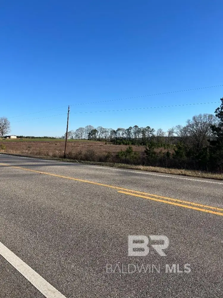0 W Hwy 84, Evergreen, AL 36401 - #3