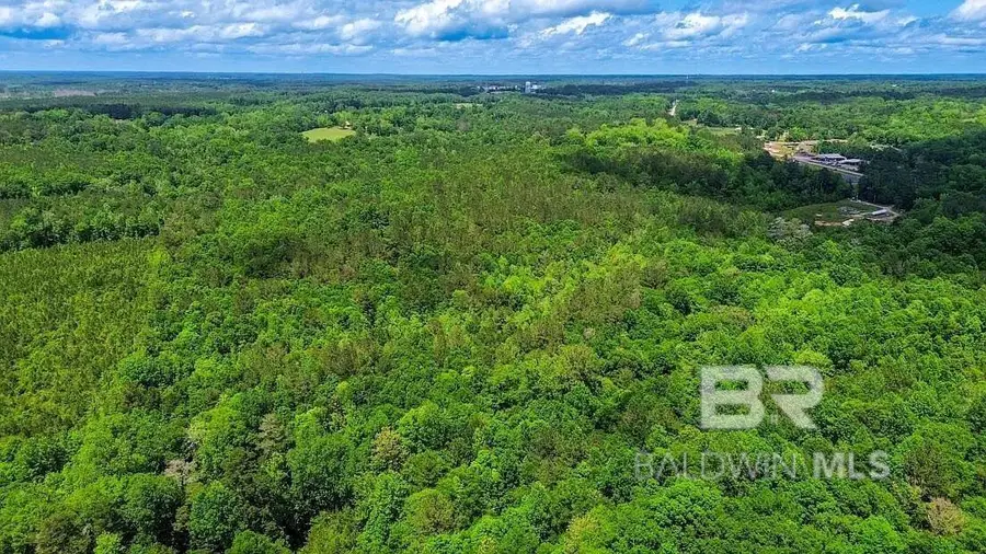 0 Loree Road, Evergreen, AL 36401 - #2