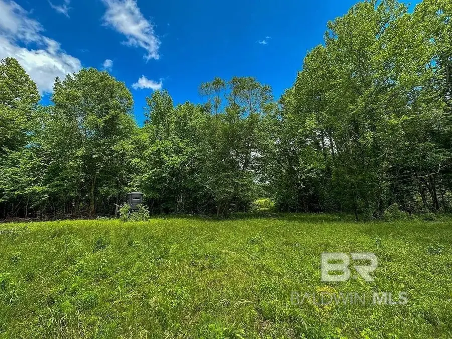 0 Loree Road, Evergreen, AL 36401 - #3