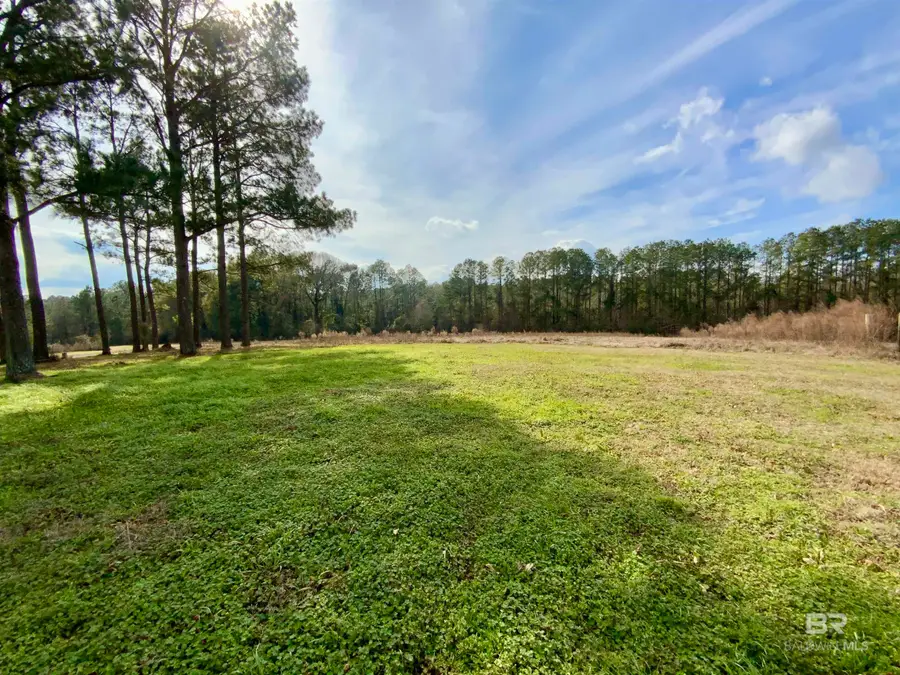 52814 Robert White Road, Perdido, AL 36562 - #3