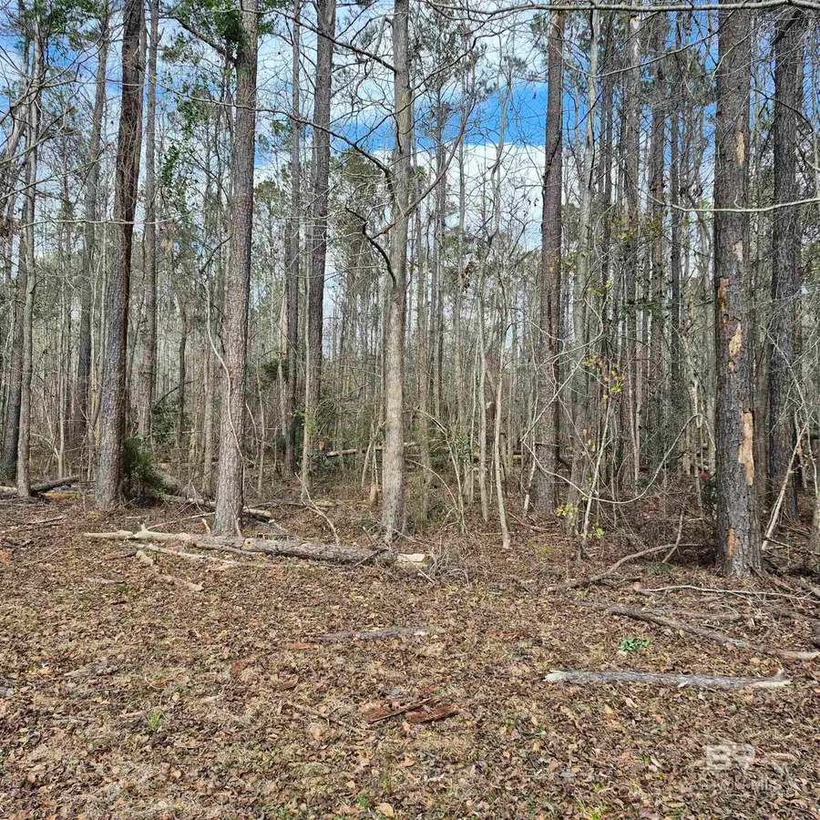 10869 Highway 31, Evergreen, AL 36401 - #2