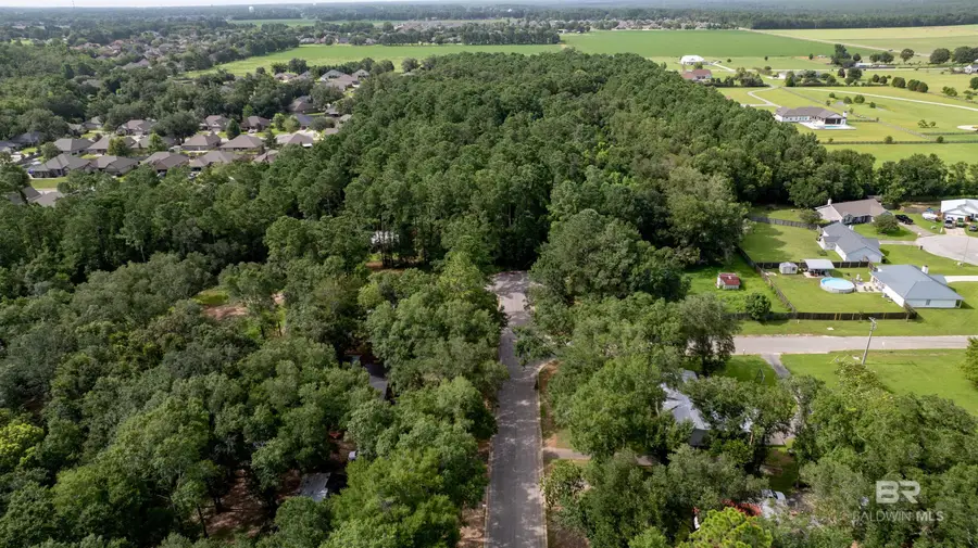 Lot 2 Caney Creek Drive, Daphne, AL 36526 - Image #3