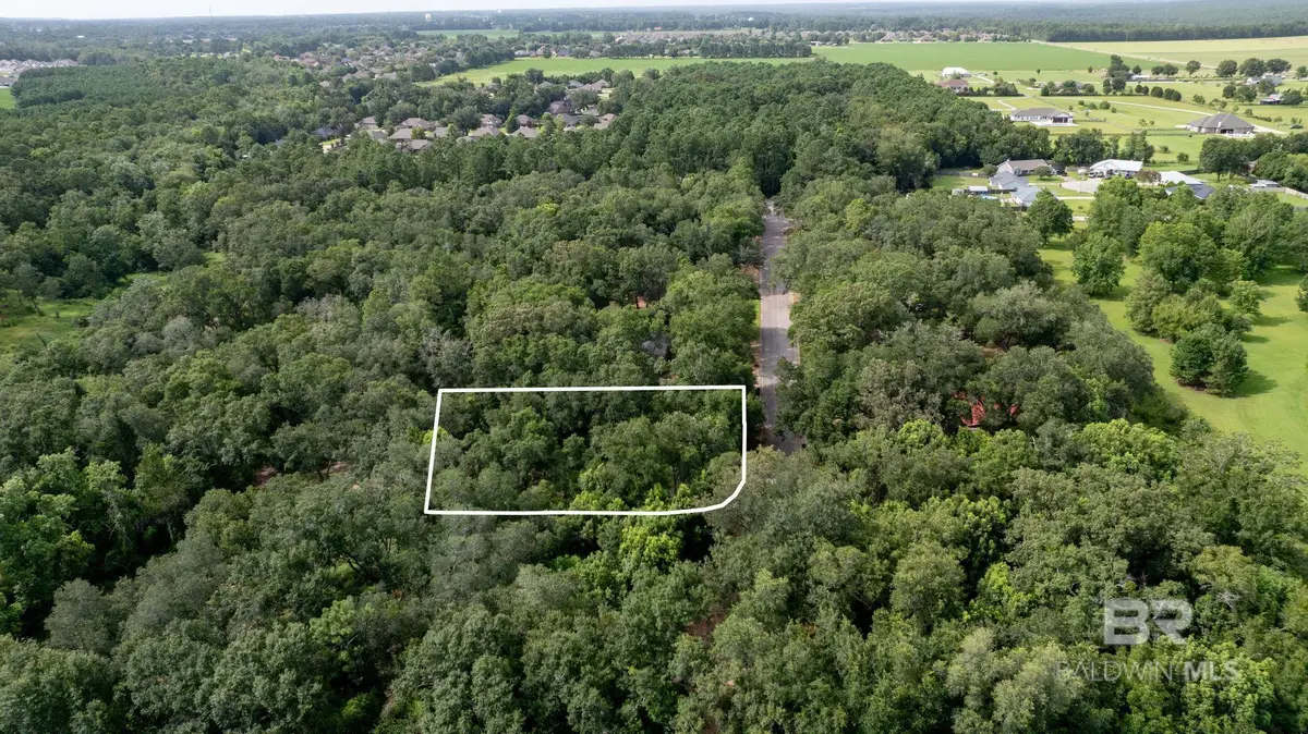 Lot 10 Caney Creek Drive, Daphne, AL 36526 - Image #1