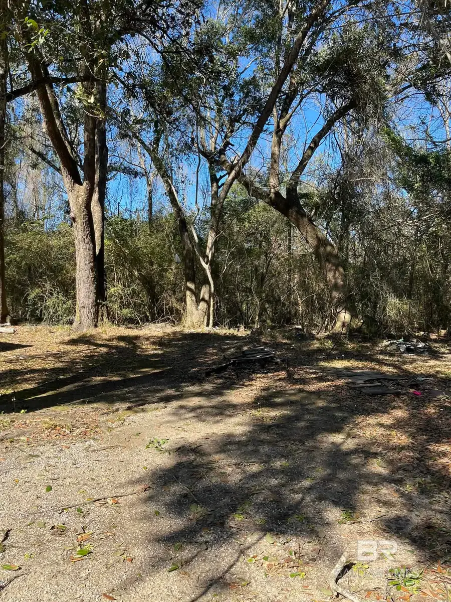 13257 County Road 138, Bay Minette, AL 36507 - #3