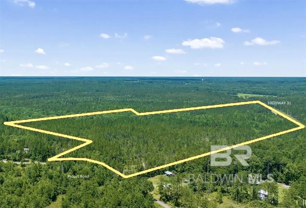 51290 Propst Road, Bay Minette, AL 36507 - #1