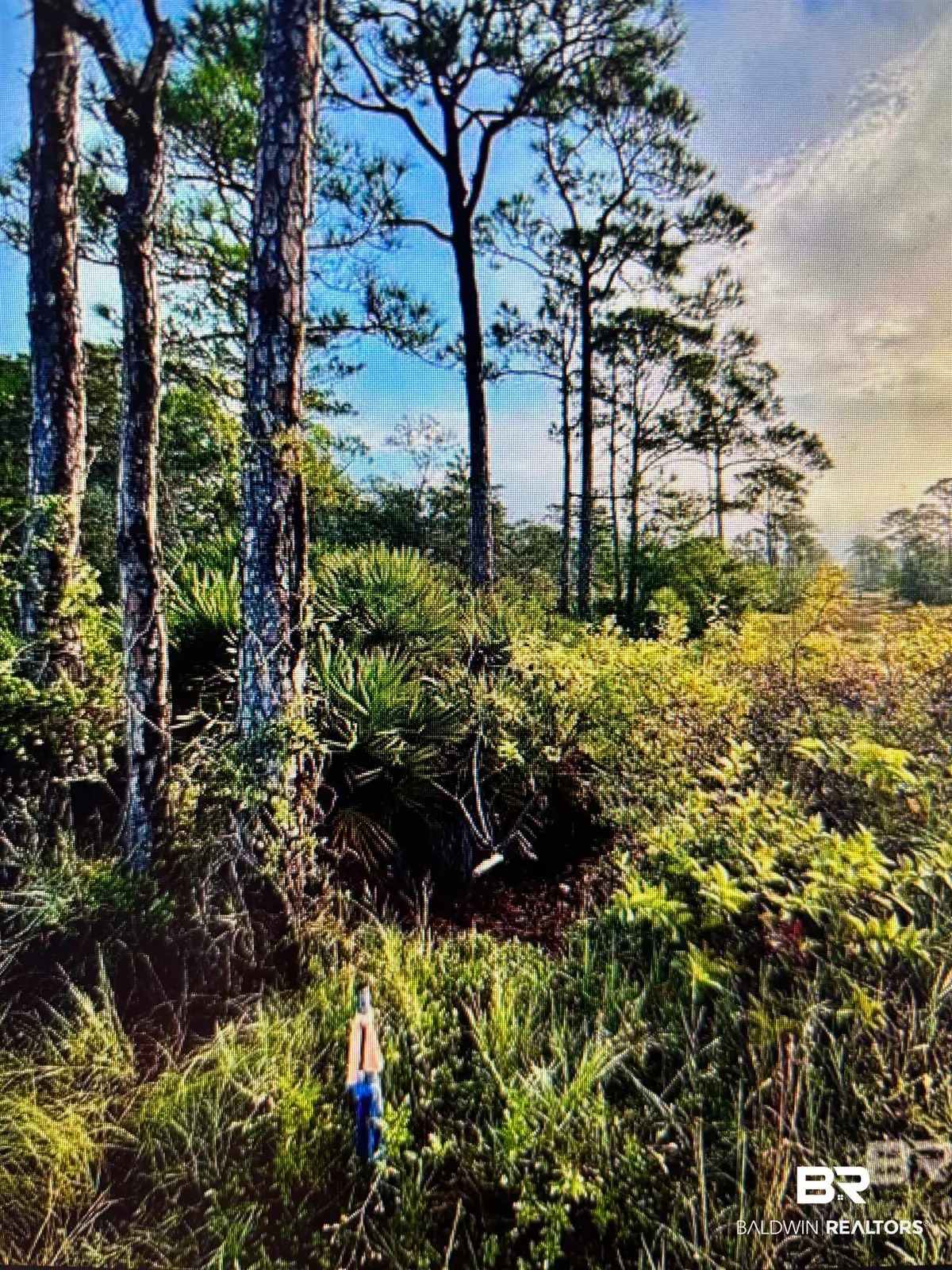 0 Gulf Crest Drive, Gulf Shores, AL 36542 - #1