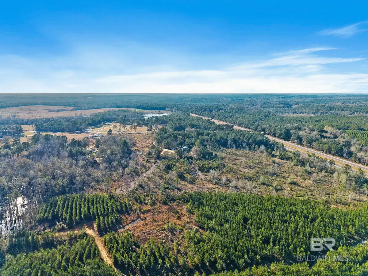 55750 Lottie Road, Perdido, AL 36562 - #1