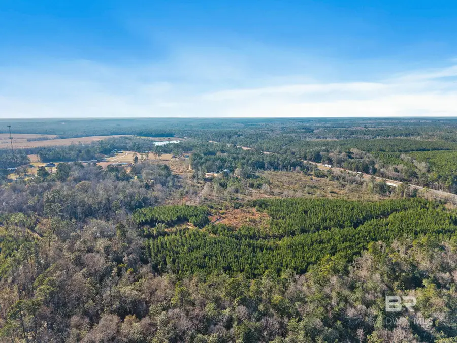 55750 Lottie Road, Perdido, AL 36562 - #2