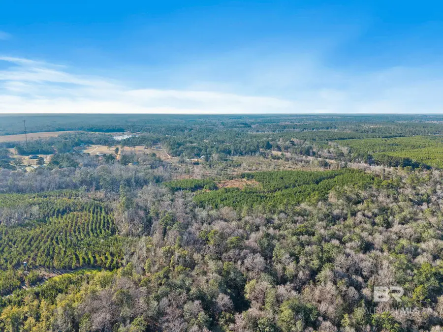 55750 Lottie Road, Perdido, AL 36562 - #3