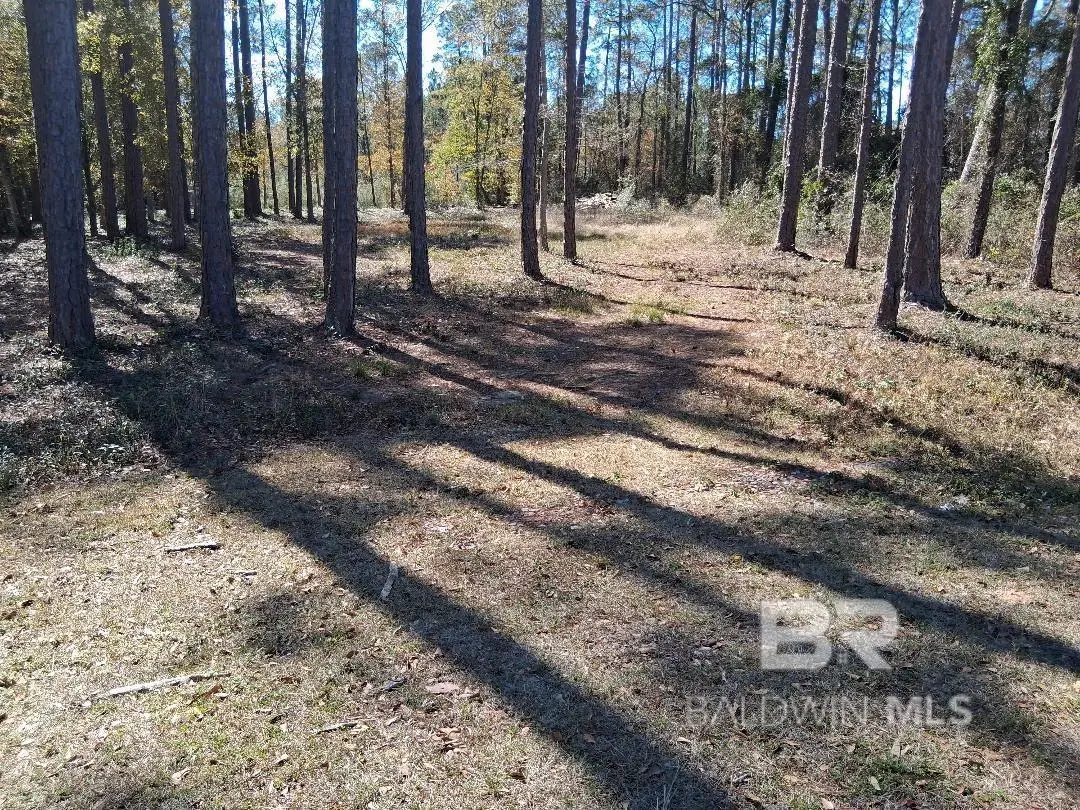 10116 Bayhaven Drive, Fairhope, AL 36532 - #1