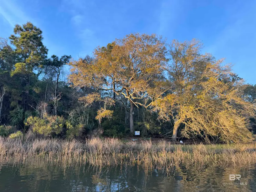 Kennedy Road, Bon Secour, AL 36511 - #3