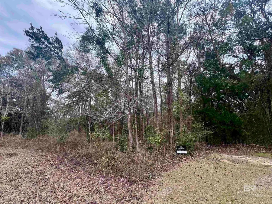 0 Stanton Road, Spanish Fort, AL 36527 - #3