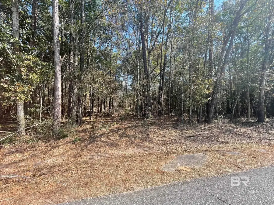 0 N Juniper Street, Foley, AL 36535 - #3