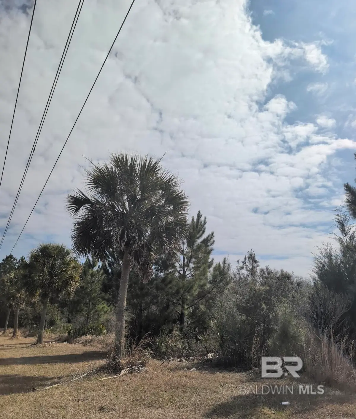 0 County Road 96, Summerdale, AL 36535 - #1