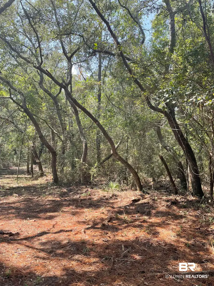 9847 S County Road 99, Lillian, AL 36549 - #2
