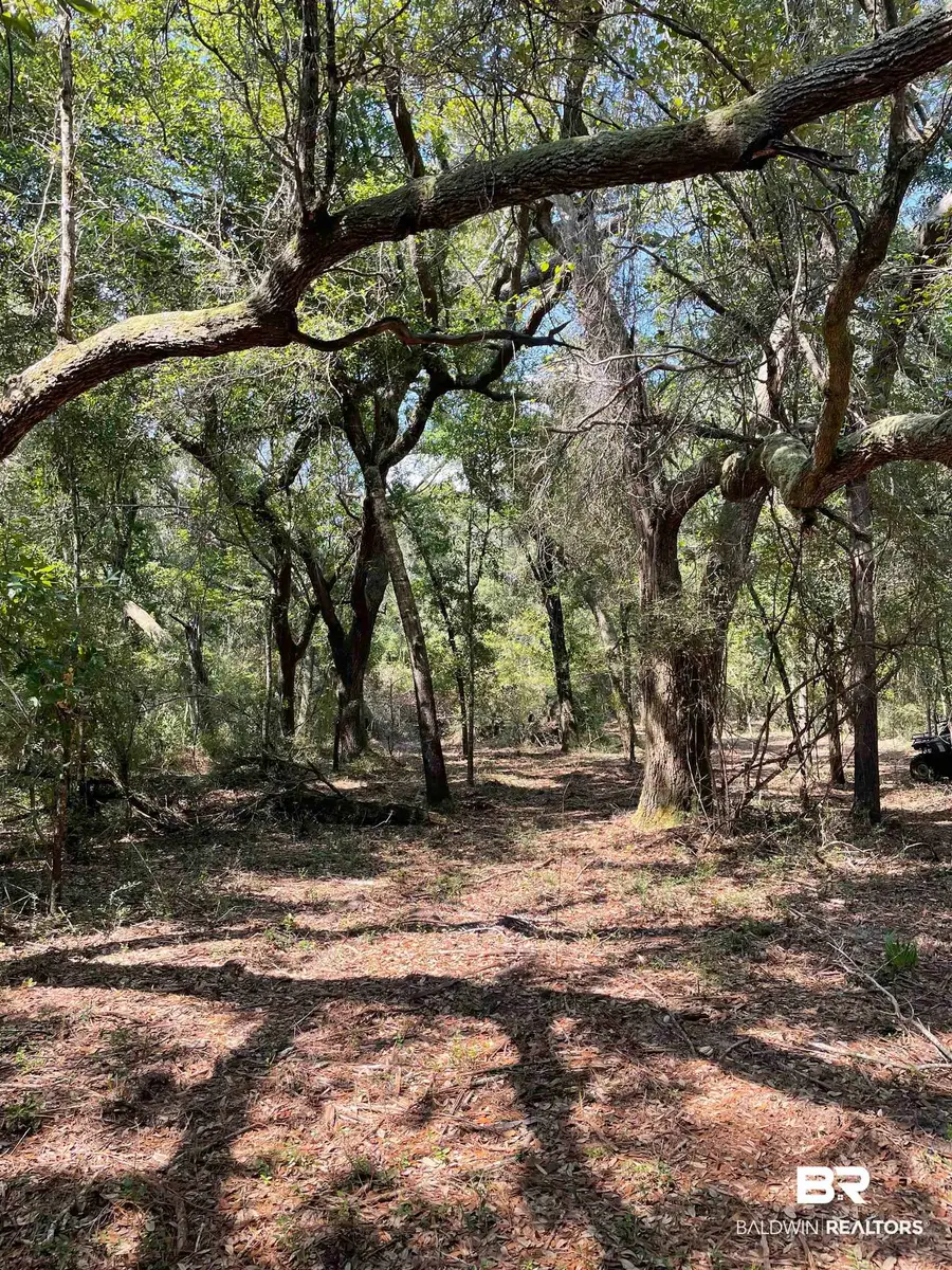 9847 S County Road 99, Lillian, AL 36549 - #3