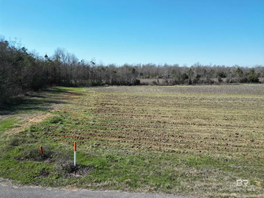 8 Cowpen Creek Road, Atmore, AL 36502 - #2