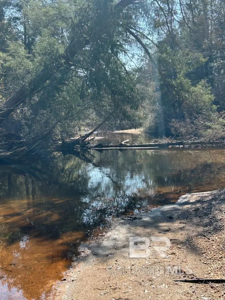 0 Wolf Log Road, Flomaton, AL 36441 - #1