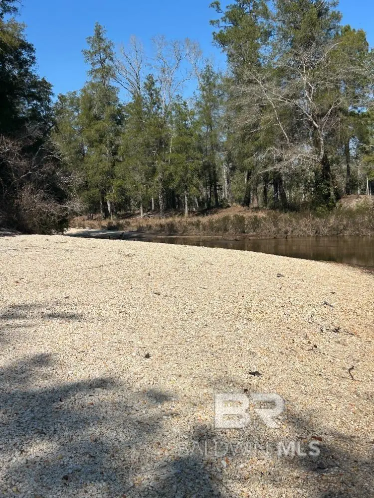 0 Wolf Log Road, Flomaton, AL 36441 - #2