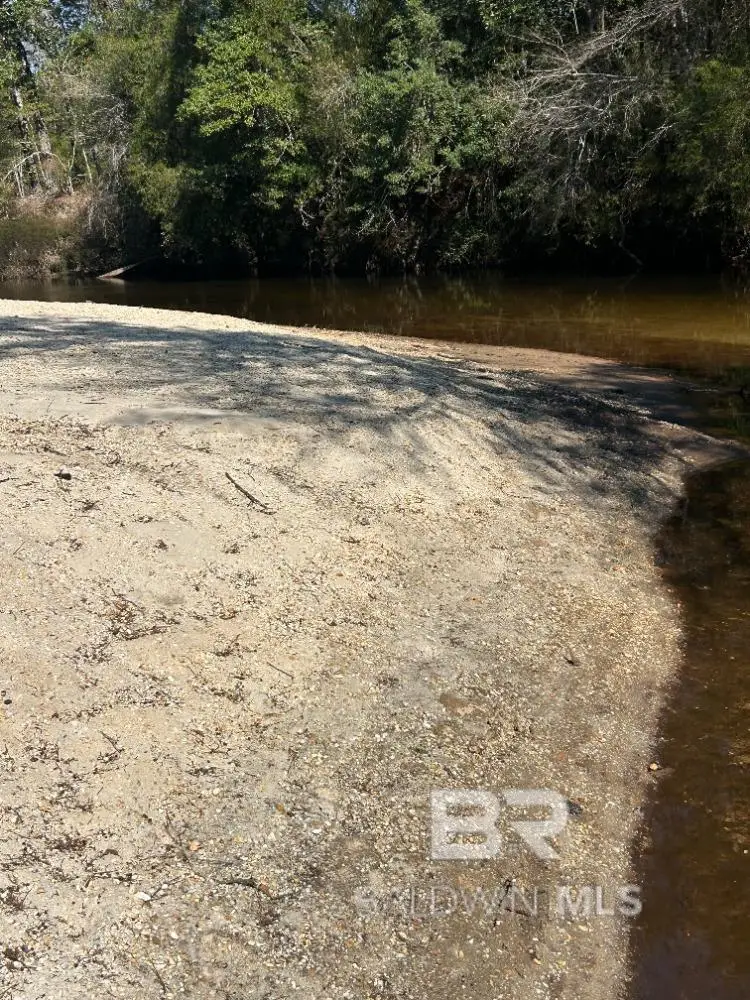 0 Wolf Log Road, Flomaton, AL 36441 - #3