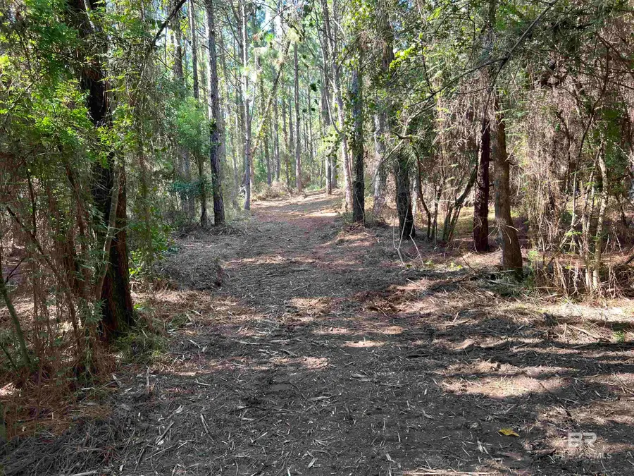 0 Barnhill Farm Road, Loxley, AL 36551 - #2