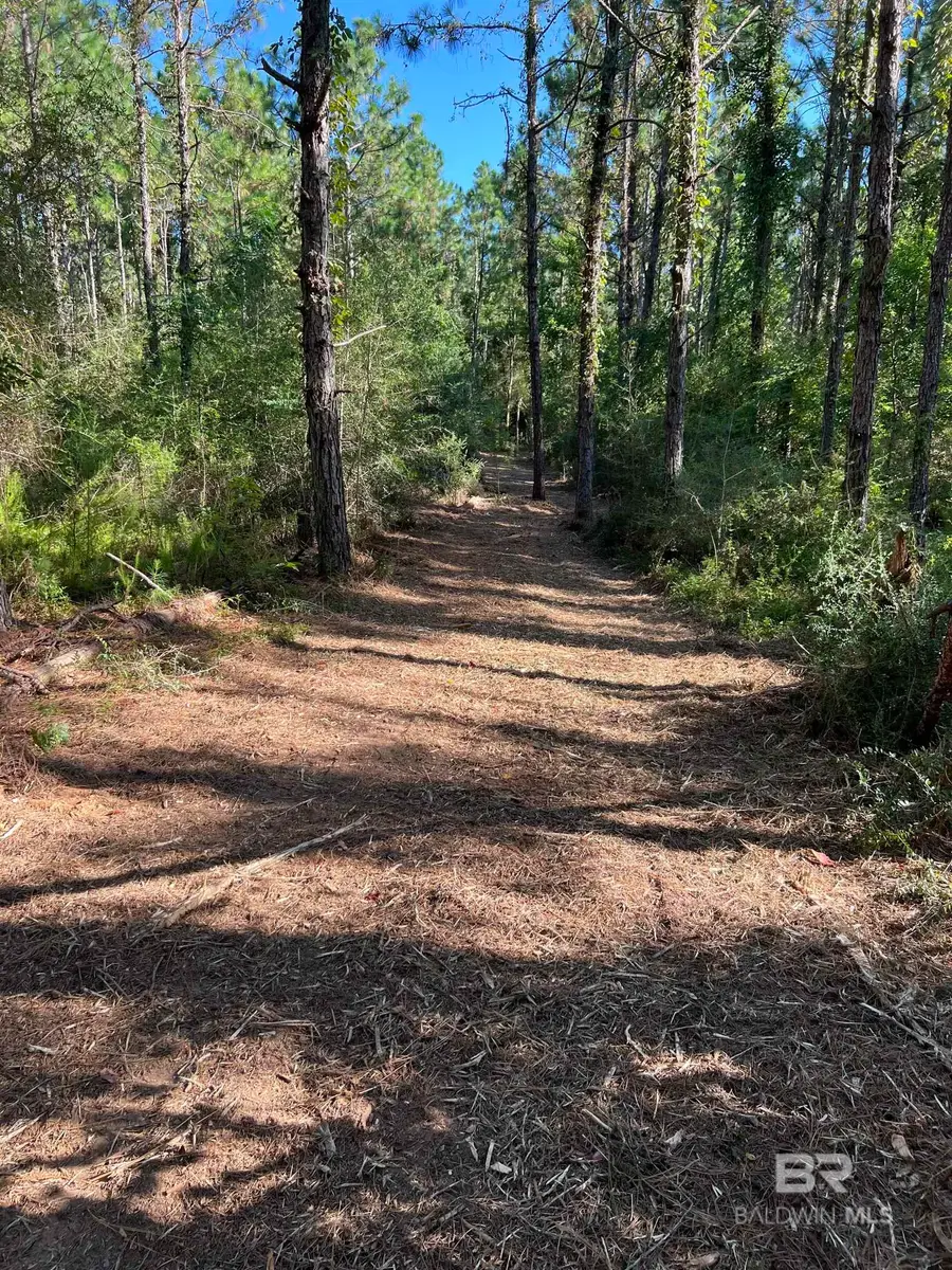 0 Barnhill Farm Road, Loxley, AL 36551 - #3