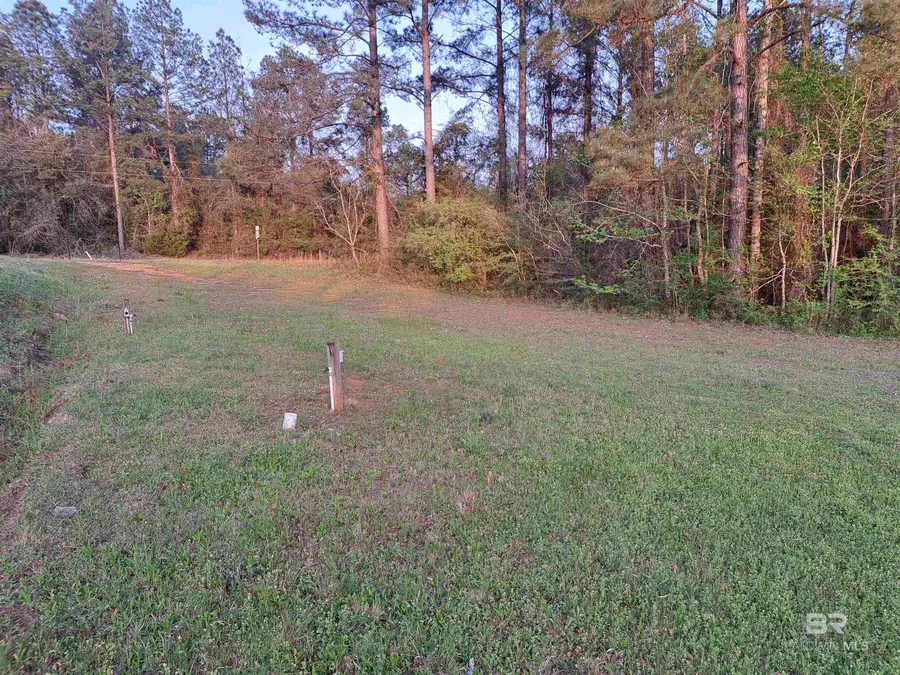 2777 Highway 83, Evergreen, AL 36401 - #3