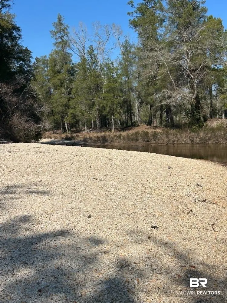 0 Wolf Log Road, Flomaton, AL 36441 - #2