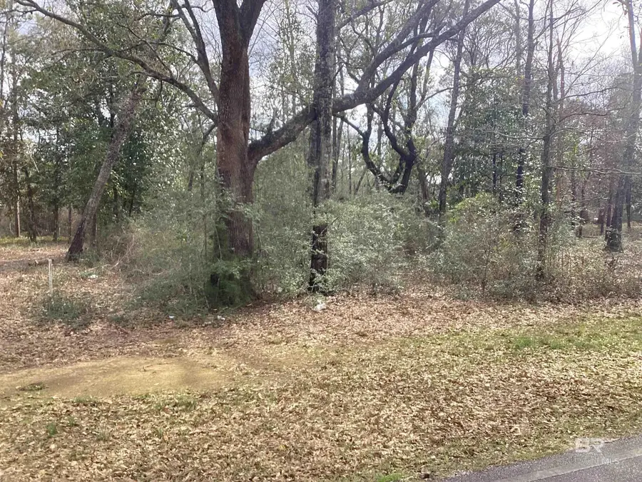 0 W 5th Street, Bay Minette, AL 36507 - #2