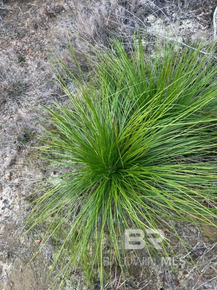 0 Us Highway 29, Brewton, AL 36426 - #1