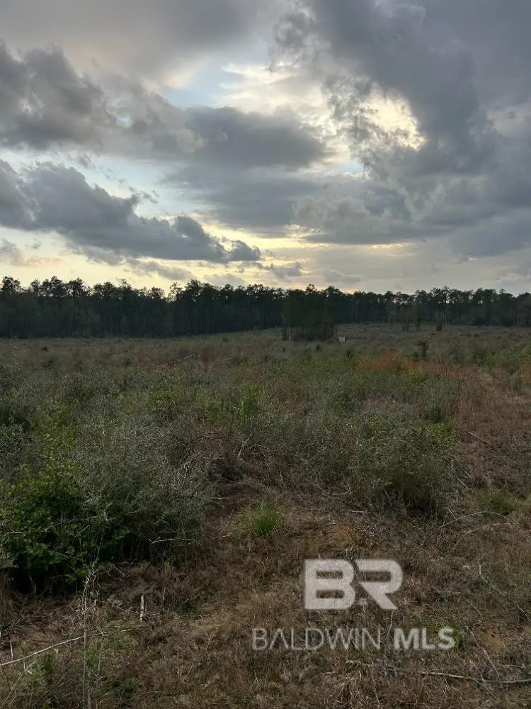 0 Us Highway 29, Brewton, AL 36426 - #2