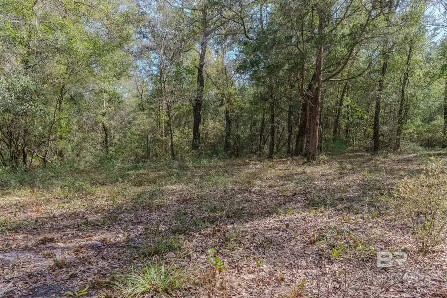 10660 State Highway 180, Gulf Shores, AL 36542 - #3