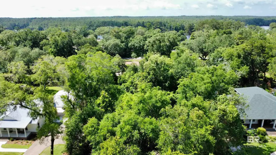 14134 Woodland Drive, Magnolia Springs, AL 36555 - #3