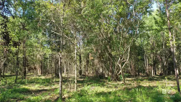 Lot 4A Johnson Road, Atmore, AL 36502