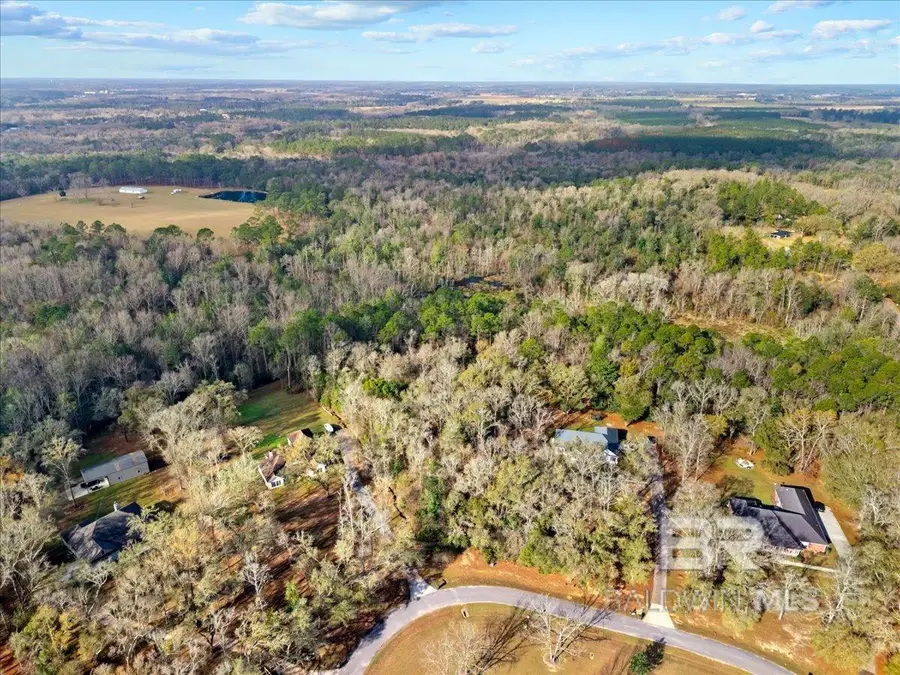 Chene Trace, Rosinton, AL 36567 - #2