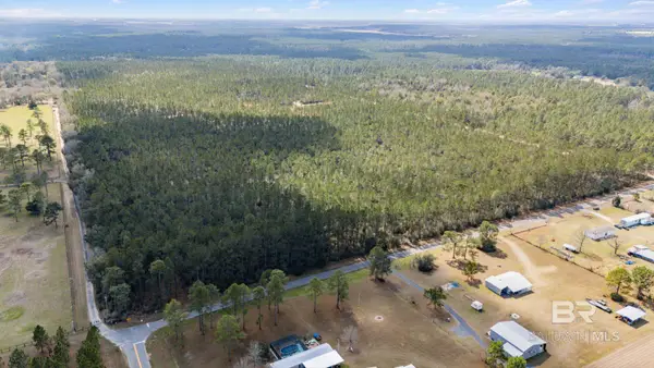 Lot #10 Bermuda Lane, Seminole, AL 36574