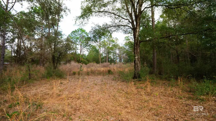 31927 Us Highway 90, Seminole, AL 36574 - #2