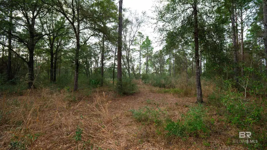 31927 Us Highway 90, Seminole, AL 36574 - #3