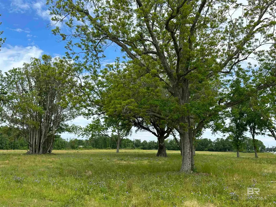 19127 Highway 59, Summerdale, AL 36580 - #2