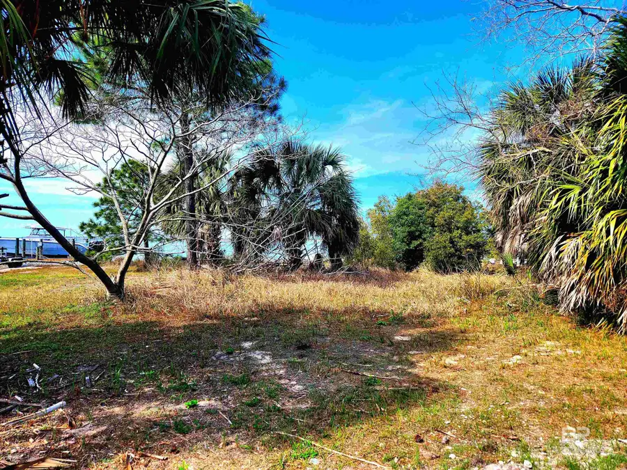 535 Buchanan Drive, Dauphin Island, AL 36528 - #2