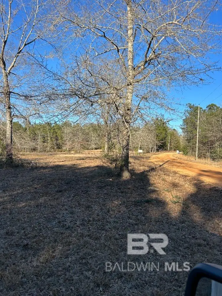 0 Buddy Lake Road, Brewton, AL 36426 - #1