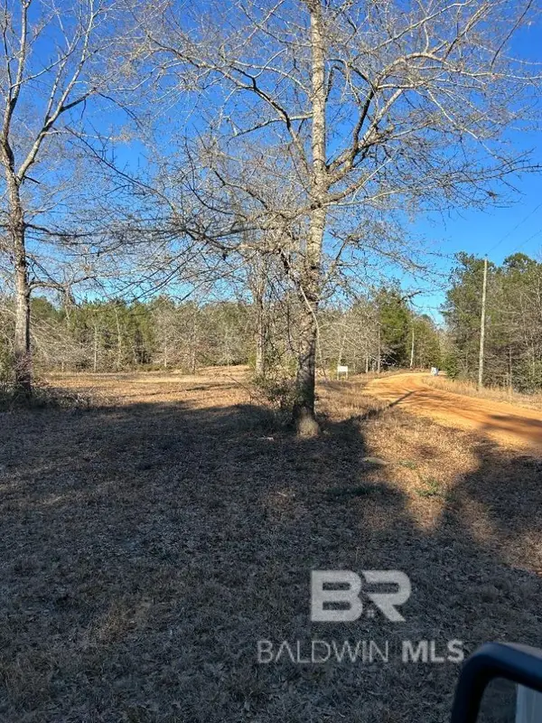 0 Buddy Lake Road, Brewton, AL 36426