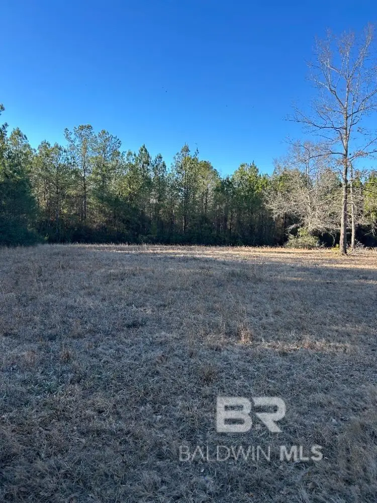 0 Buddy Lake Road, Brewton, AL 36426 - #2