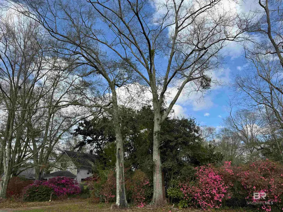 21898 Broad Street, Silverhill, AL 36576 - #2