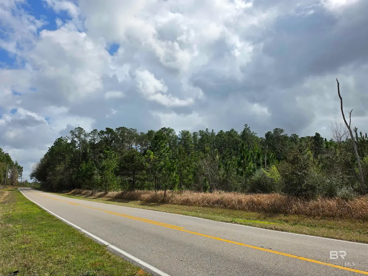0 Henry Davis Road, Chunchula, AL 36521 - #1