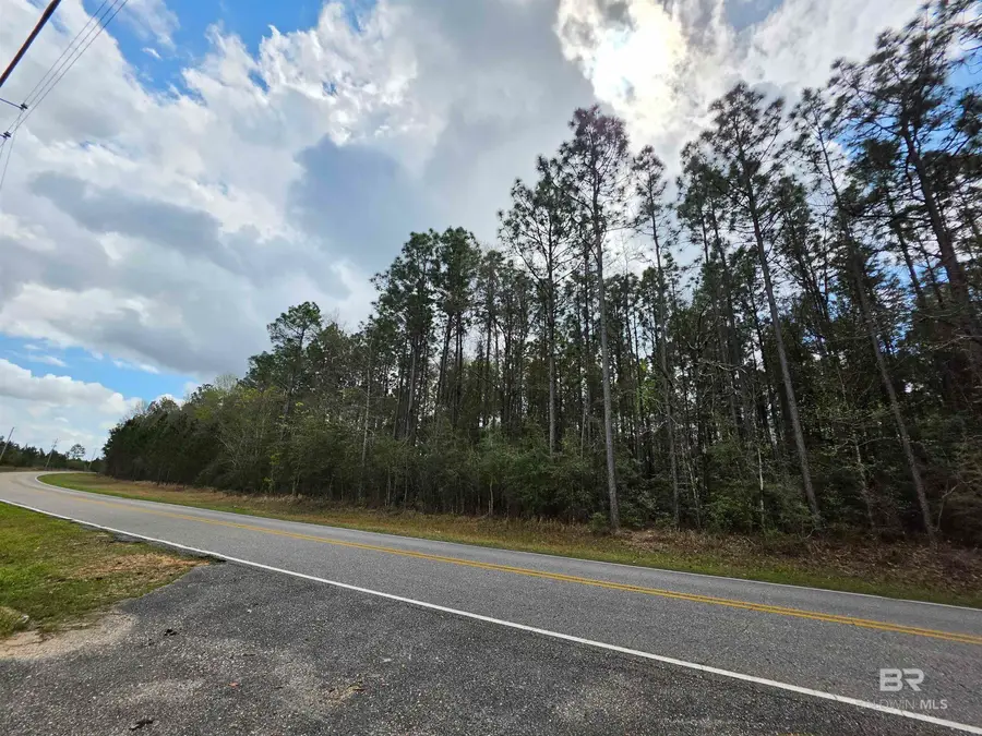 0 Henry Davis Road, Chunchula, AL 36521 - #2