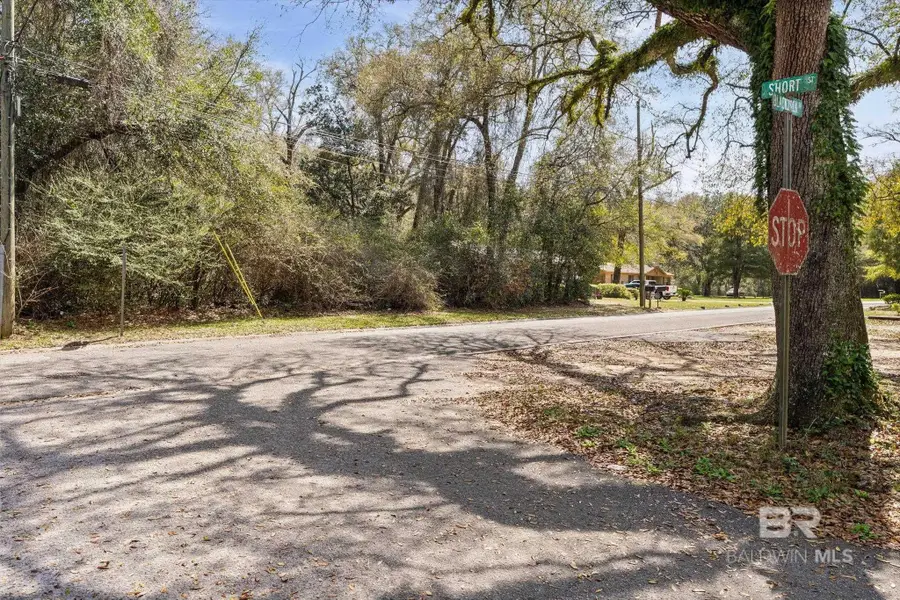 0 Blackjack Drive, Saraland, AL 36571 - #2