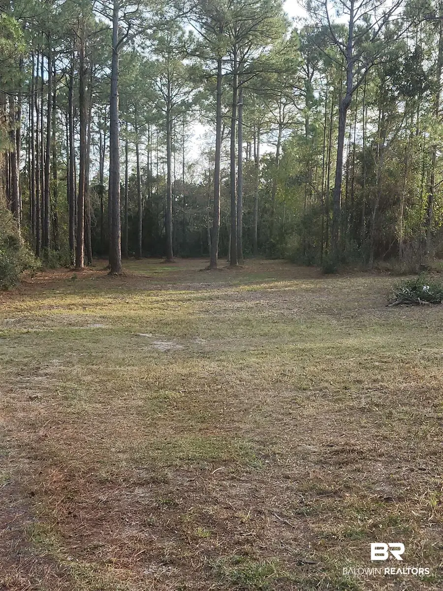 17086 State Highway 180, Gulf Shores, AL 36542 - #2